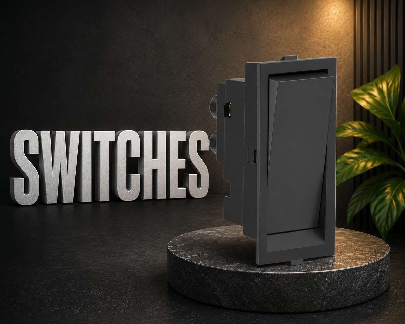 Switches